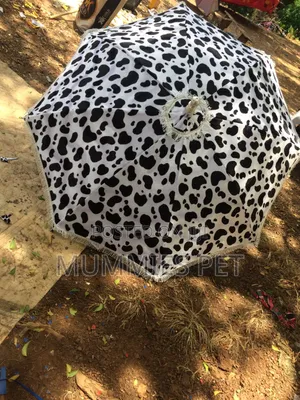 Quality Umbrella