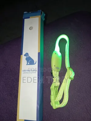USB Rechargeable LED Dog Collar