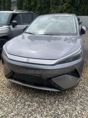 New BYD Yuan Plus 2025 Gray