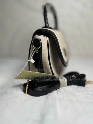 Ladies Hand and Shoulder Bag
