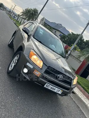 Toyota RAV4 2.5 Limited 2012 Brown