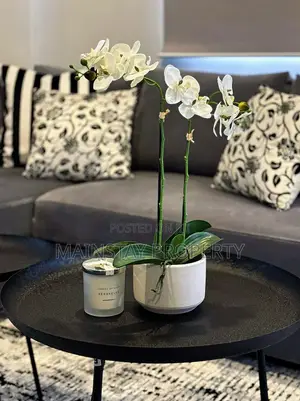 Furnished 1bdrm Apartment in Mainstay Estates, Cantonments for rent