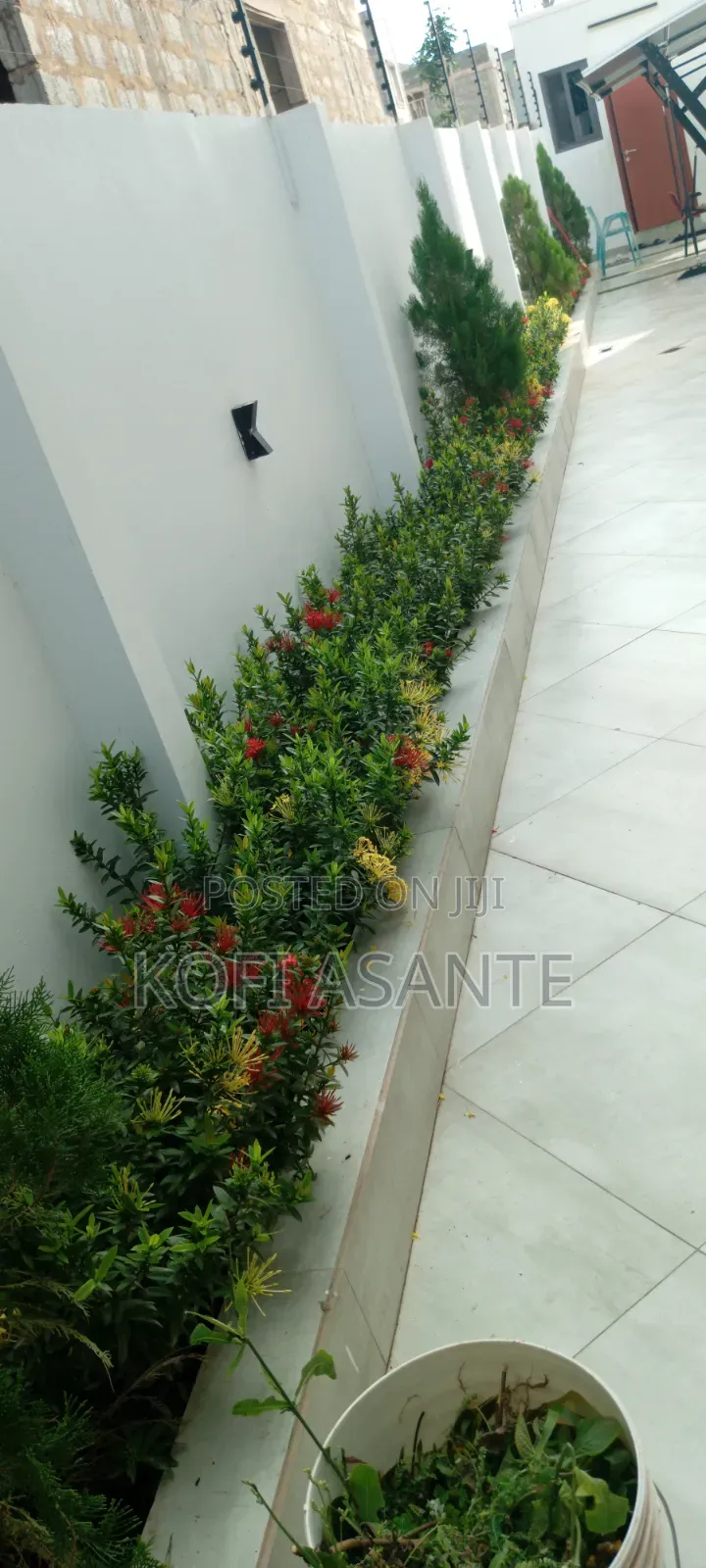Gardener and Landscaper