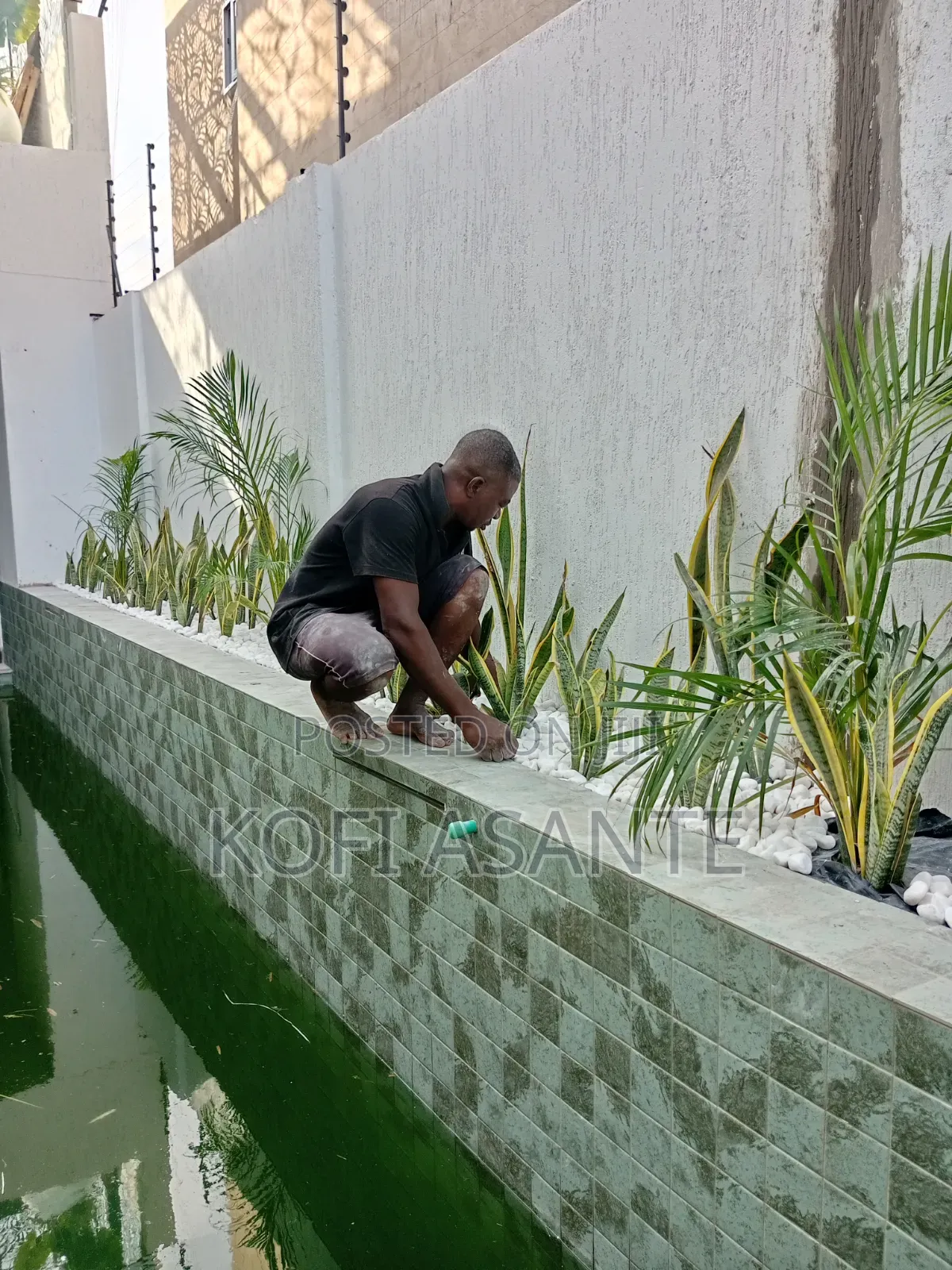 Gardener and Landscaper