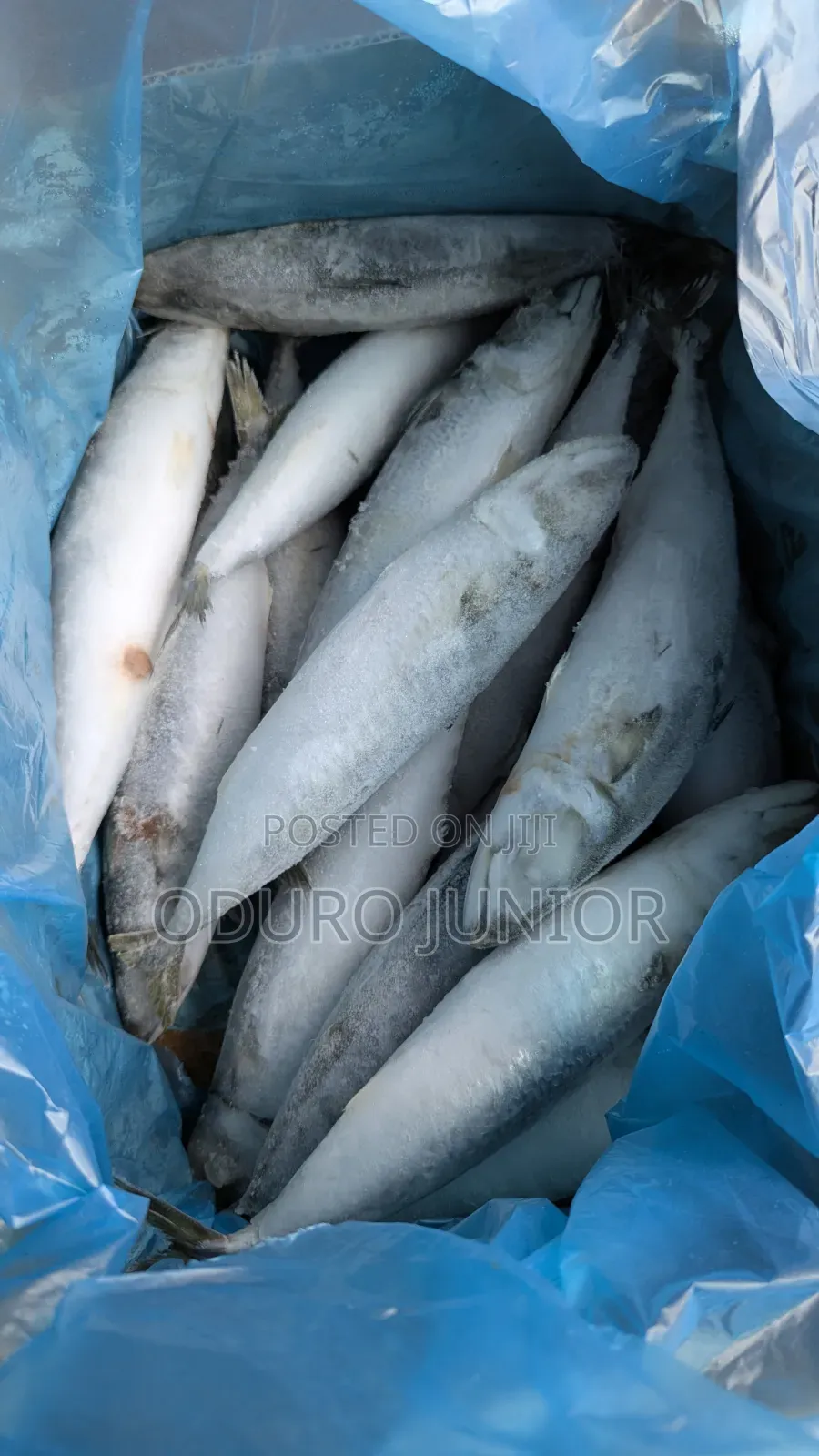 Wholesale Imported Frozen Fish Boxes (10kg – 30kg)