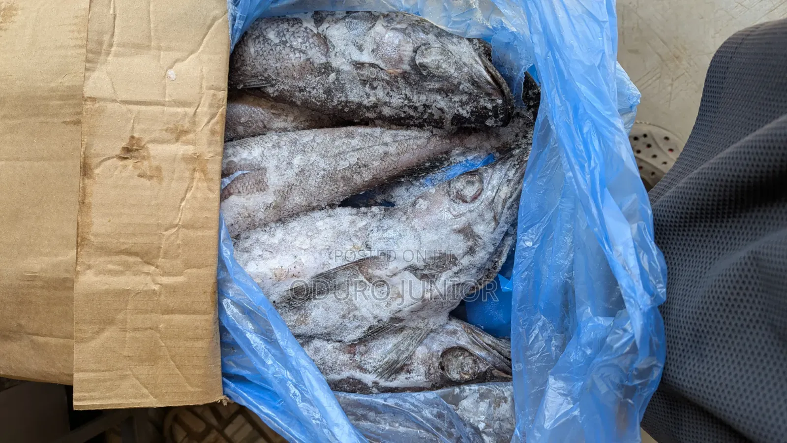 Wholesale Imported Frozen Fish Boxes (10kg – 30kg)