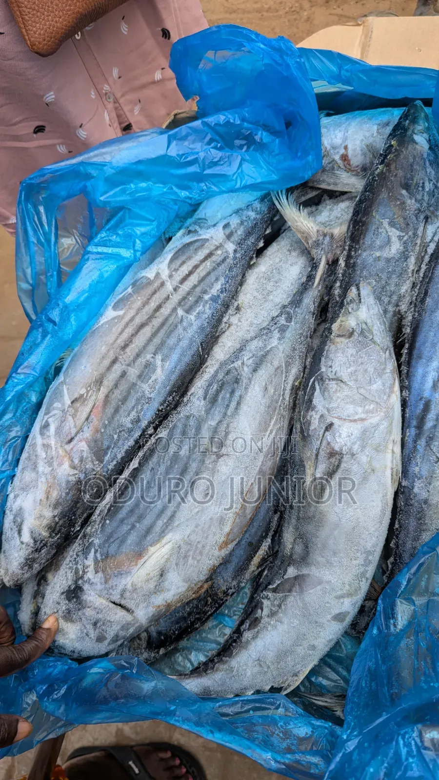 Wholesale Imported Frozen Fish Boxes (10kg – 30kg)