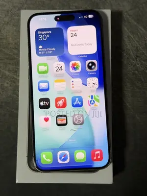 Apple iPhone 15 Pro Max 256 GB Silver