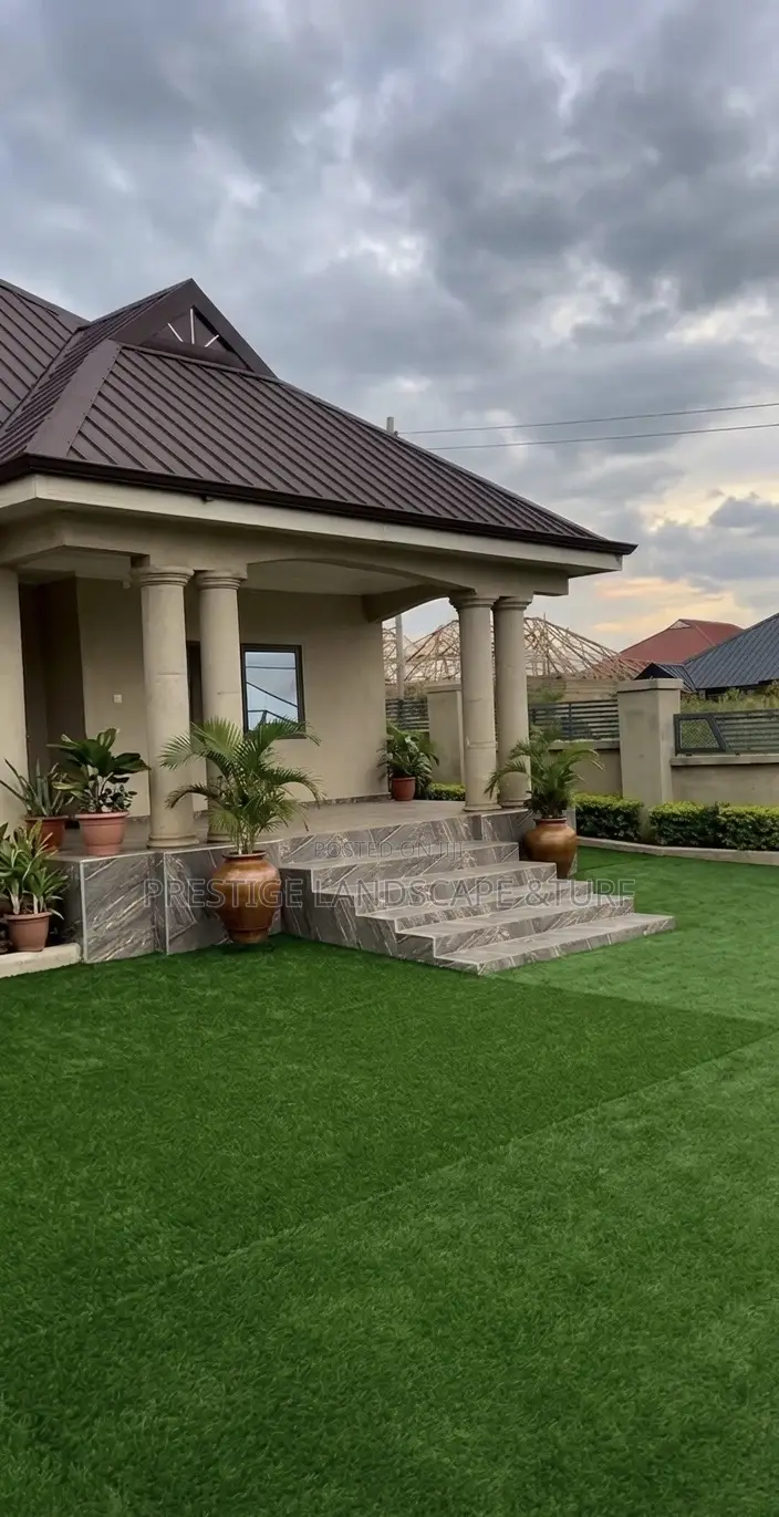 Astro Turf Carpet