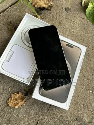Apple iPhone 15 Pro Max 256 GB Silver