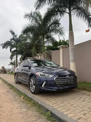 Hyundai Elantra 2018 Blue