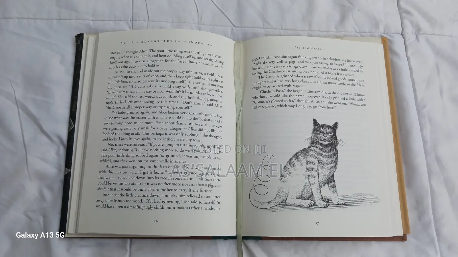 Alice's Adventures in Wonderland (Lewis Carrol)