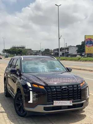 Hyundai Palisade 2023 Black