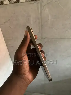 Apple iPhone 16 Pro Max 256 GB Gold