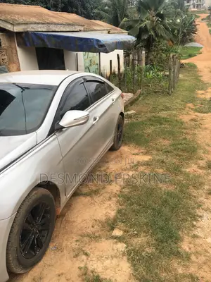 Hyundai Sonata 2012 Silver