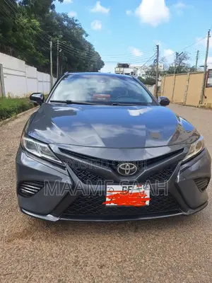 Toyota Camry LE (2.5L 4cyl 8A) 2019 Gray