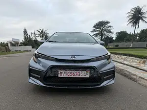 Toyota Corolla LE 2020 Gray