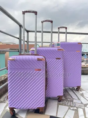 Luggage Collection Early Bird Disonbol 3-Piece Sets (Echolac)