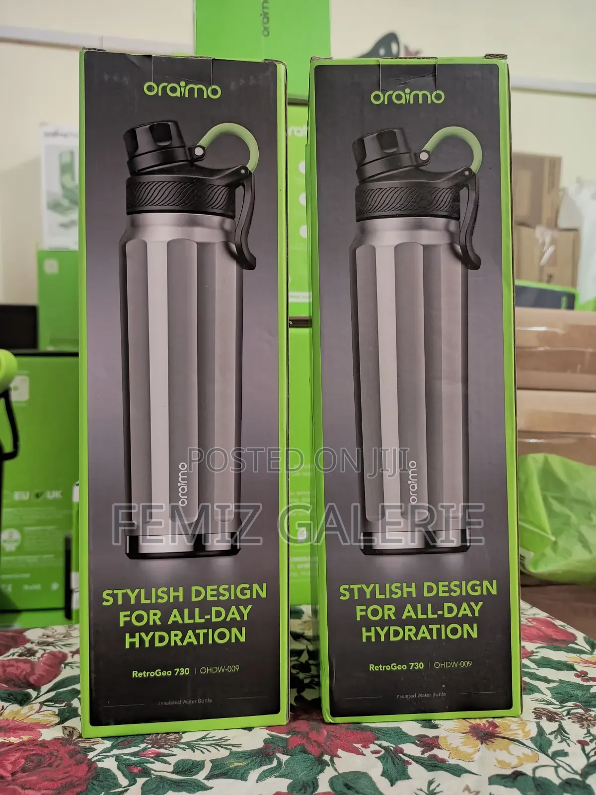 Oraimo RetroGeo 730 Sports Aesthetics 730ml Insulated Water Bottle
