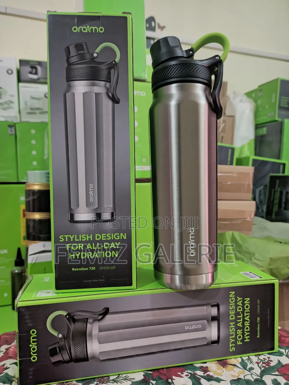 Oraimo RetroGeo 730 Sports Aesthetics 730ml Insulated Water Bottle
