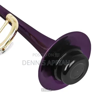 Slade Trumpet Mute
