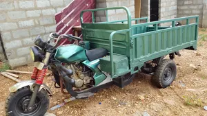 Luojia Clean Tricycle 2025 Green