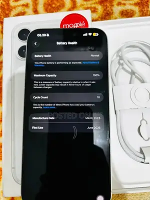 Apple iPhone 17 Pro Max 256 GB Silver