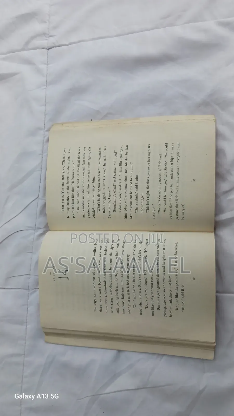 The Tiger Rising – Kate DiCamillo (Used, Good Condition)