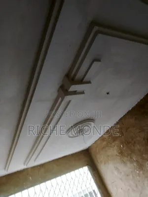 P.o.p Ceiling