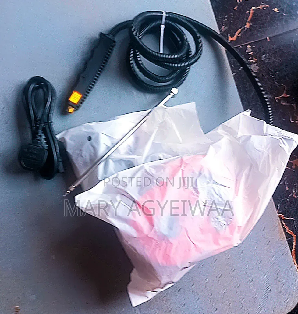 Portable High-Pressure Steam Cleaner