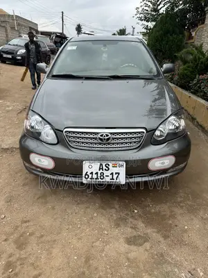 Toyota Corolla 2007 Gray
