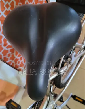 Autoshift Gear Bike With Full Custom Accessories