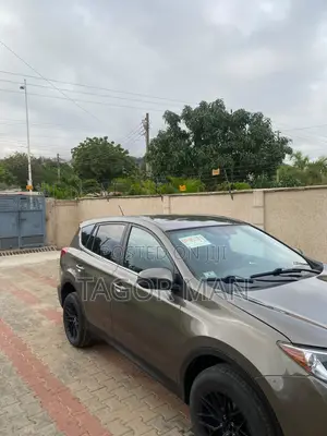 Toyota RAV4 2015 Brown