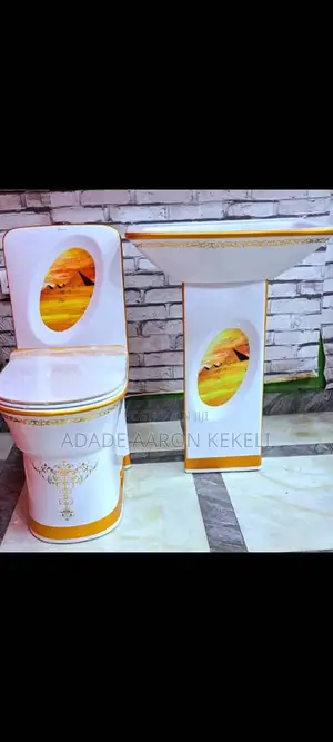 Luxury Designed Jinsili Water Closet With Basin (WC)