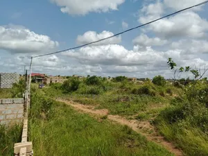 Land Guard Free Land at Amasaman-Danchira