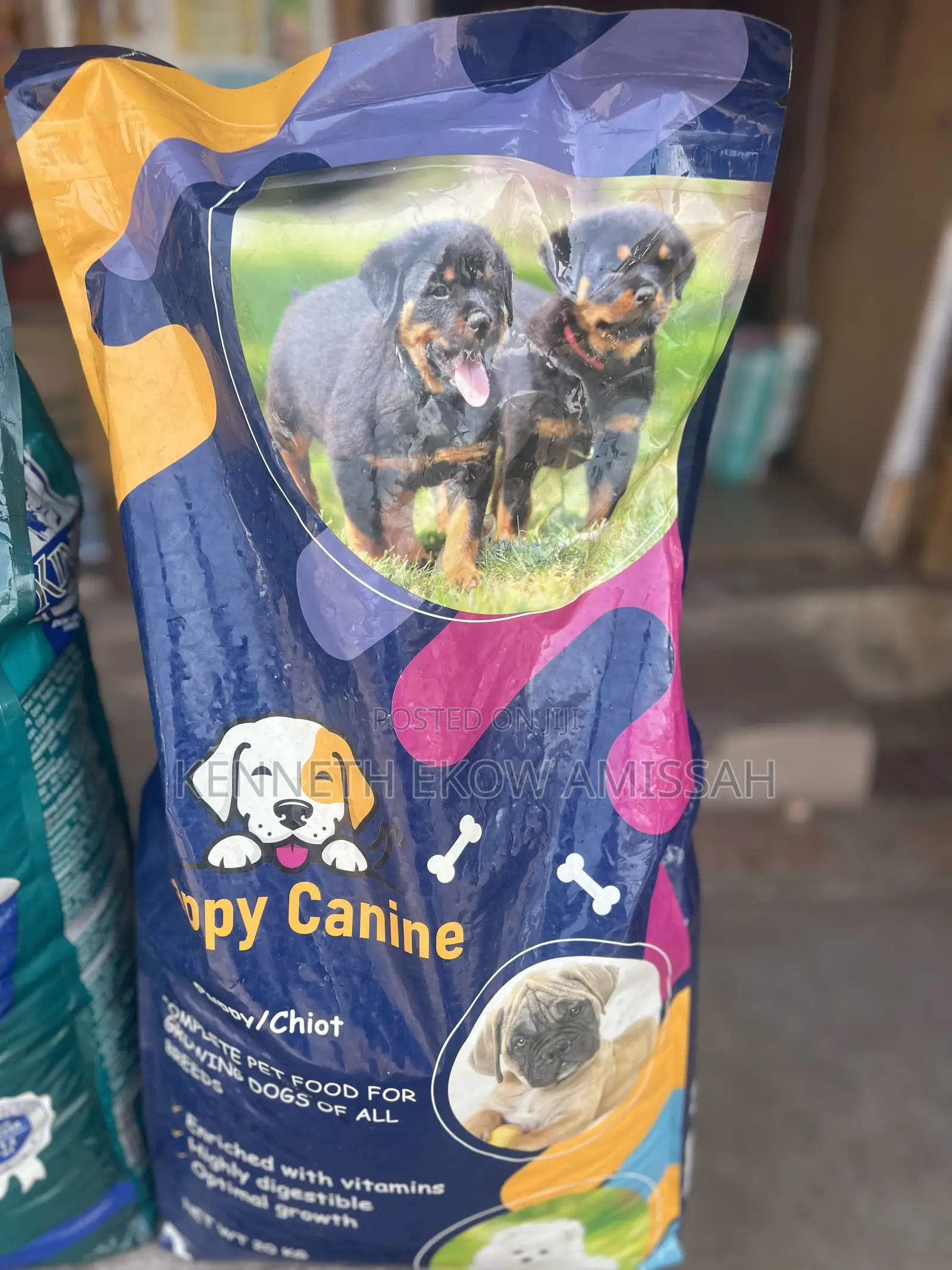 Happy Canine