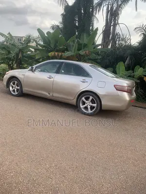 Toyota Camry 2010 Brown