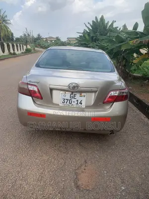 Toyota Camry 2010 Brown