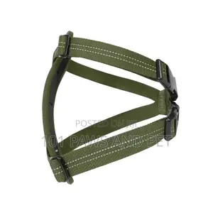 Ezydog Essential Chest Plate Harness Green