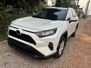 Toyota RAV4 LE AWD 2019 Gray