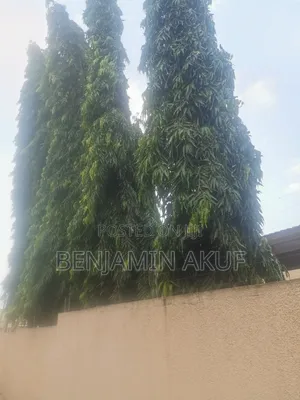 Registered 6 Plots at Peduase