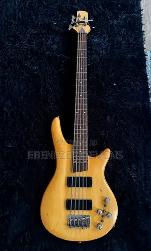 Customized Sunsmile Bass Guitar