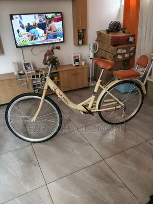 Quality and Affordable Adult Bicycles
