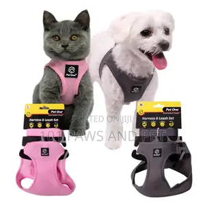 Pet One Harness and Leash Set for Dogs Grey