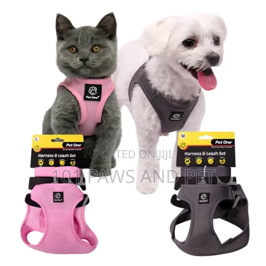 Pet One Harness and Leash Set for Dogs Grey