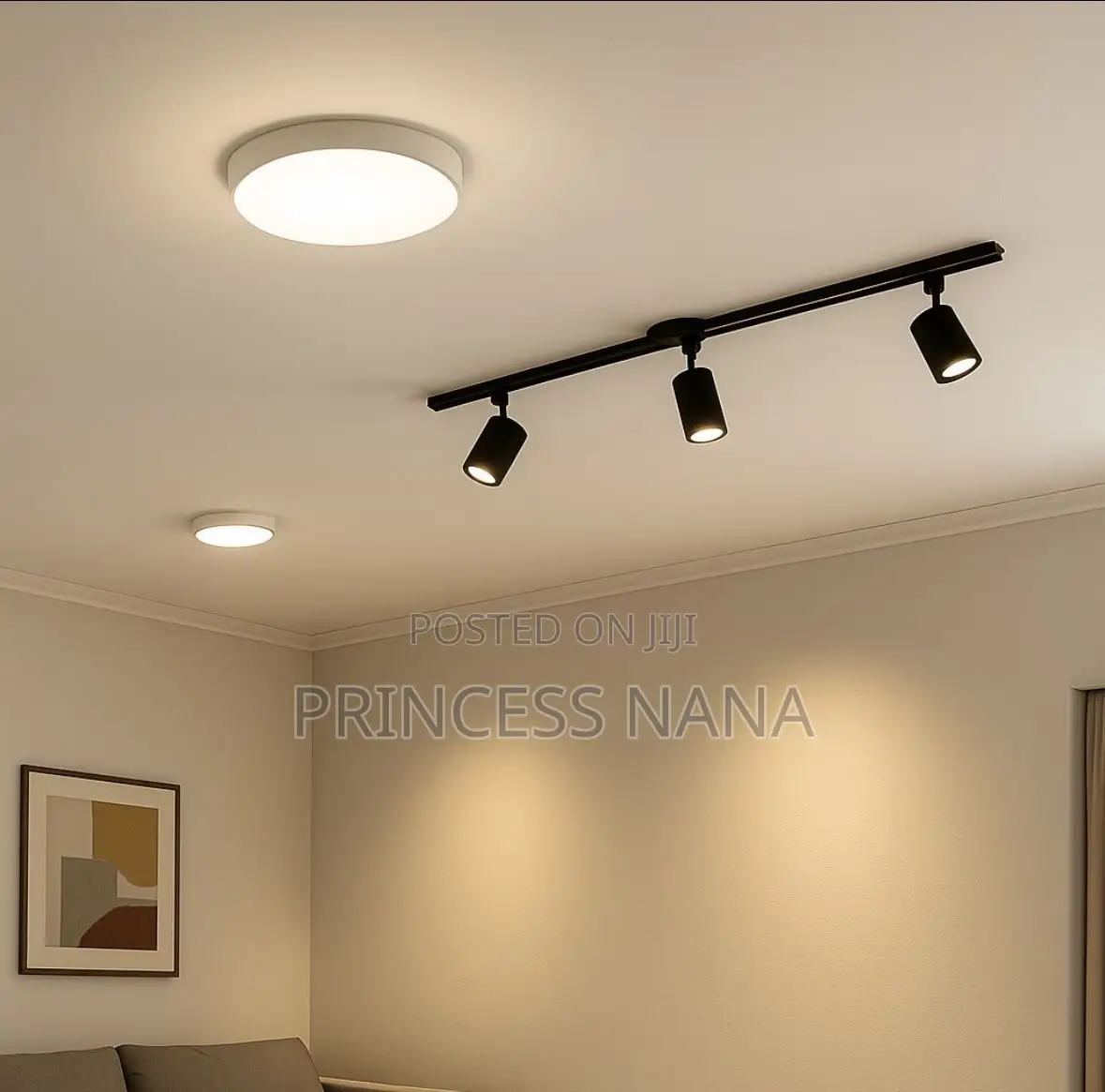 80W Track Light