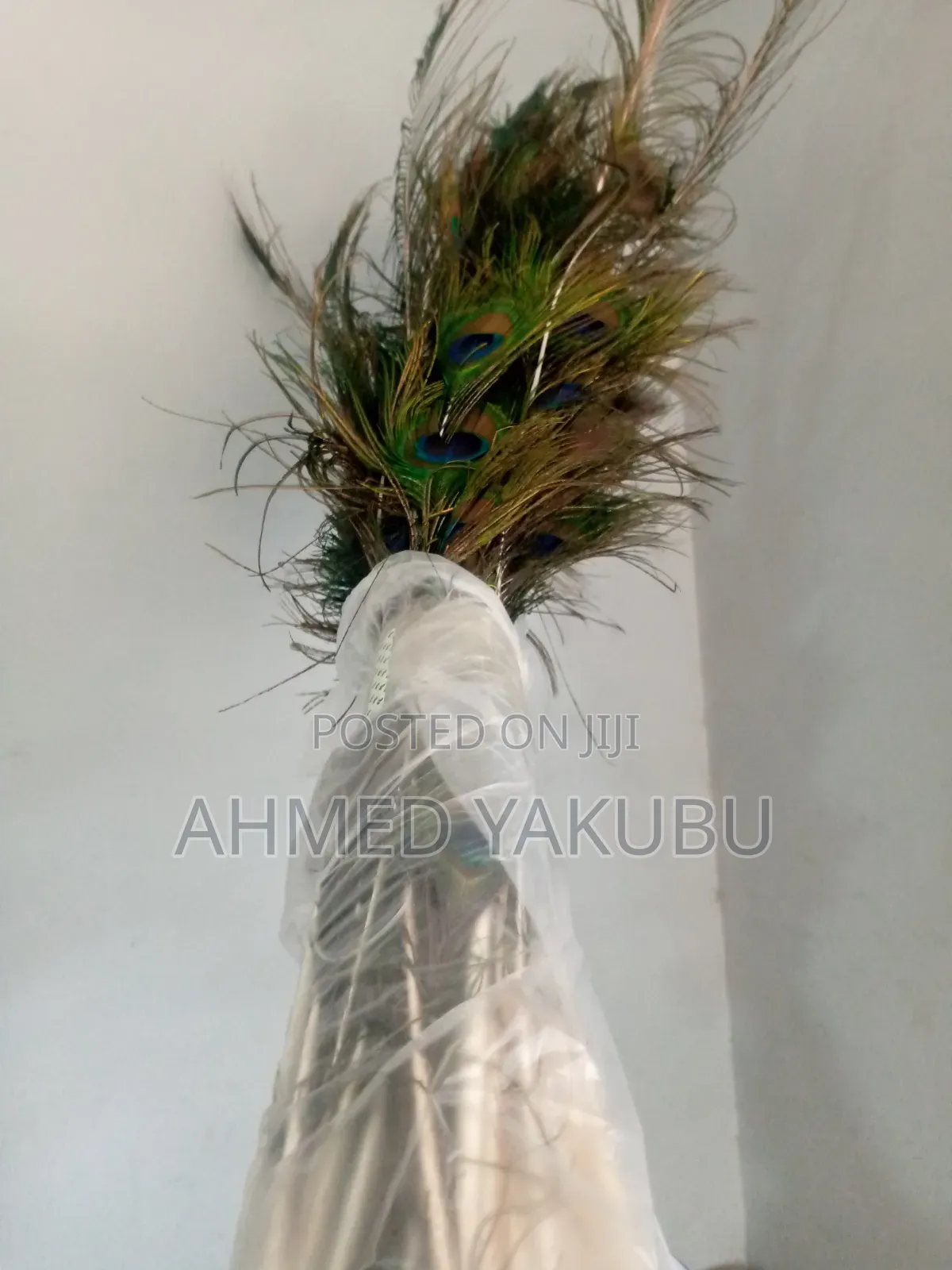 Natural Peacock Features Available