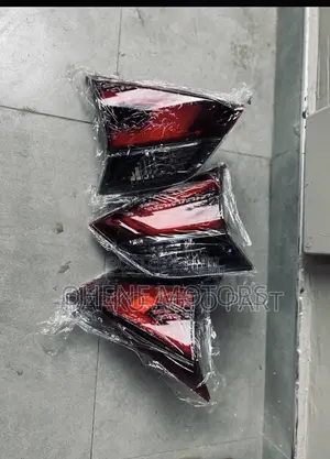 Nissan Rogue 2017-2018 Bot Light Available