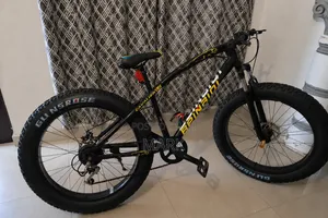 Beinaidi Cavalier Fat Tyre Bike
