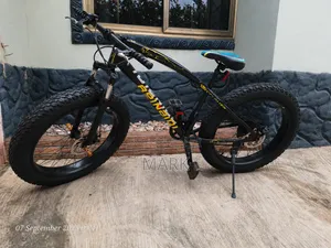 Beinaidi Cavalier Fat Tyre Bike